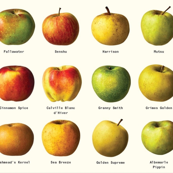 Meet your Posher, 💖 - Picture 5 of 14